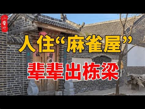 麻雀进屋什么意思|麻雀飞进屋是凶是吉，麻雀飞进屋里有什么预示？